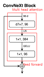 convnext_transformer